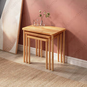 Minimalist Nesting Coffee Table Set