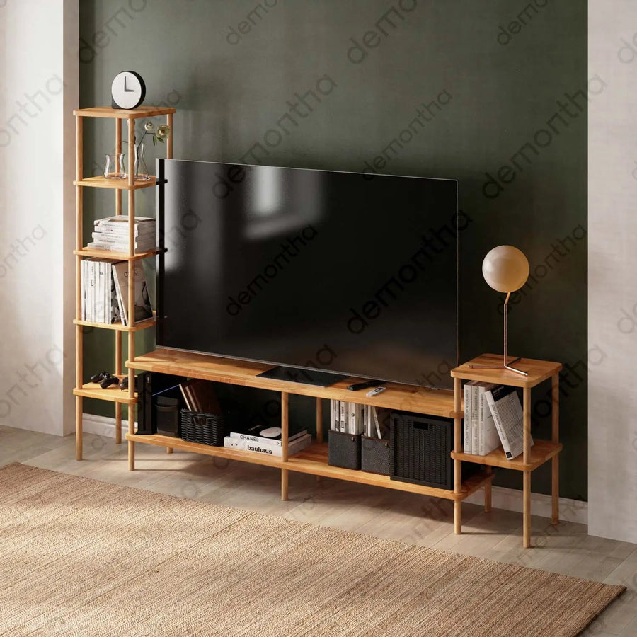Hudson Wooden TV Stand with Asymmetrical Bookshelves Demontha