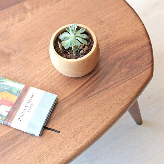 Close-up of the tabletop from above, highlighting the natural grain of the walnut