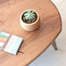 Close-up of the tabletop from above, highlighting the natural grain of the walnut