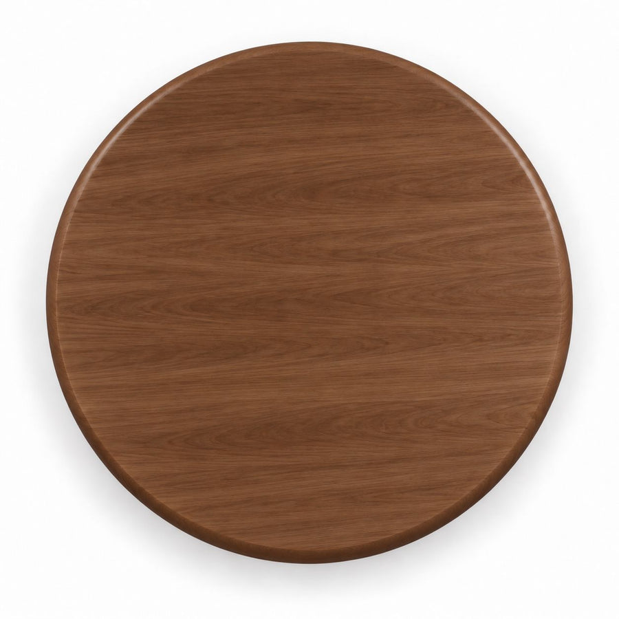 Top View of Solen Round Solid Beech Wood Coffee Table Top in Walnut Finish by Tomruque