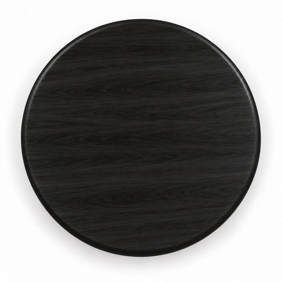 Top View of Solen Round Solid Beech Wood Coffee Table Top in Black Finish by Tomruque