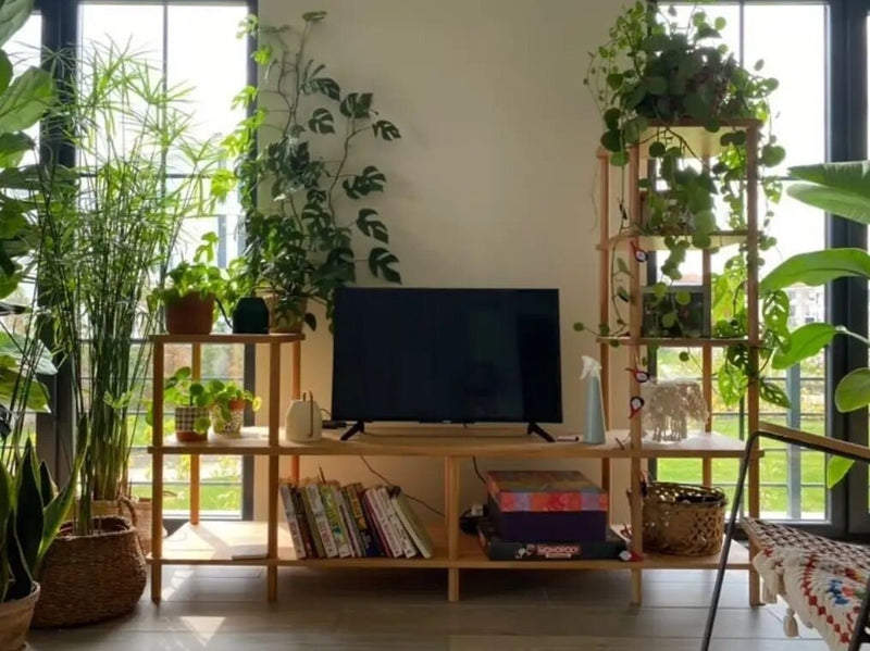 Lincoln Beech Wood TV Stand